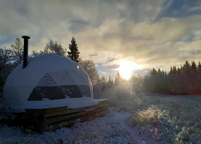 Glamping *