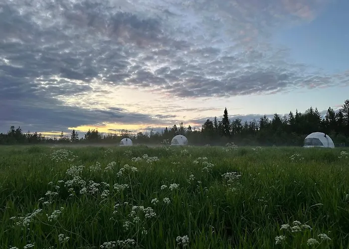 Glamping Трисиль